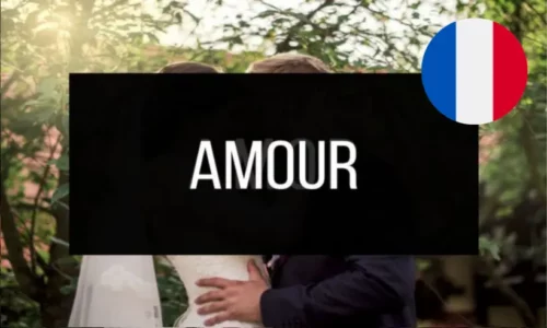 Libros de Amor en Francés